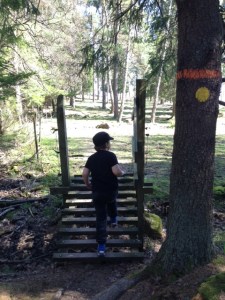 Spännande grej att gå över, med ett konstigt namn - färist.