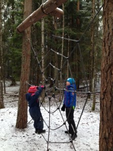 Tjäderstigen spindelnät