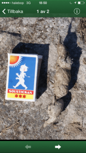 Undrar inte Ylvis hur rävbajs ser ut?