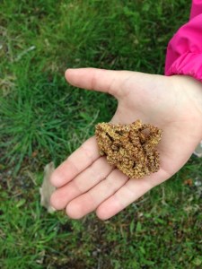 Björkhängen i hand