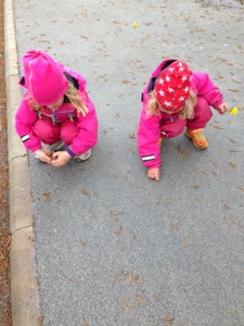 plocka björkhängen