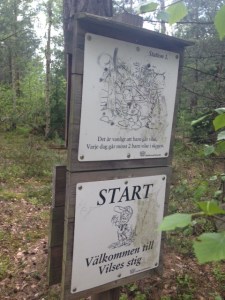 Varje dag går två barn vilse i skogen.