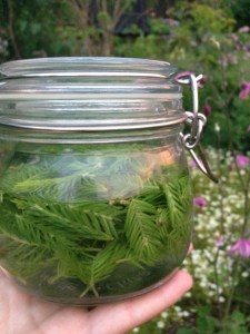 Starka och snygga grejer...