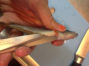 Jag brukar använda en kökssax istället för kniv. 