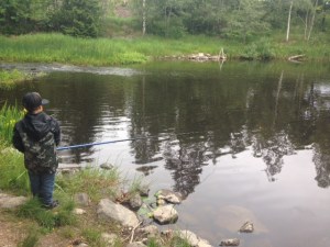 Fint ställe vid Lötån utanför Söderhamn.