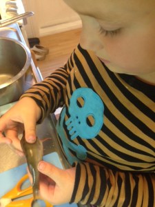 Viktigt att känna, klämma och studera fenor, fjäll och annat intressant.