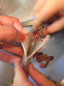 Så här ska det se ut när det är klart.