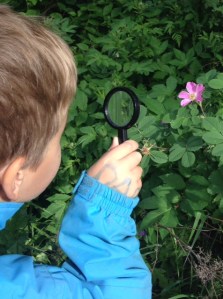 Nya upptäckter med ett förstoringsglas.
