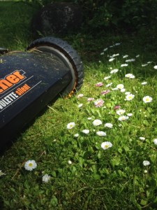 Ät innan du klipper gräsmattan!