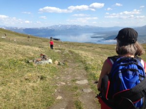 Utflyktstips i Abisko - upp på kalfjället och njut!