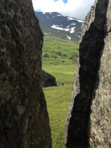 Ett delta mitt bland alla stenar.