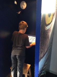 Här kan du lyssna på fågelsång så du vet vilken fågel du hör när du är ute på fjället.