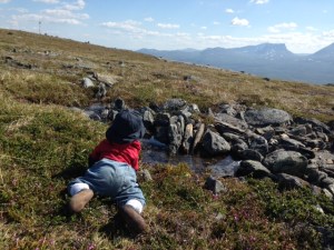 Minstingen övar på att krypa uppe på fjället.