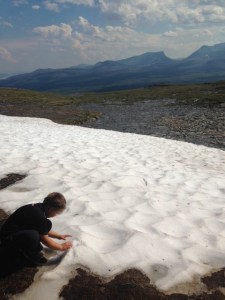 Klart man måste leka vid en snöfläck!