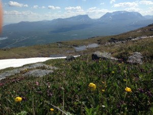 Abisko - vy mot Lapporten från Nuolja