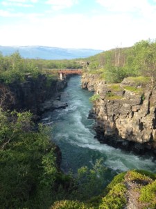 Abiskojokkens canyon - ett måste för alla som är i Abisko.
