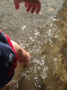 Klarare vatten än Largens är svårt att finna i Stockholmsområdet.