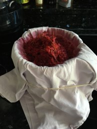 Sila bären med en tygsil